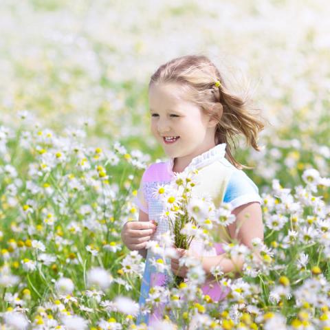 Kid in a summer meadow